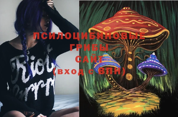 мдма Заводоуковск
