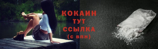 мдма Заводоуковск