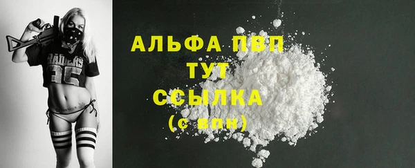 сатива Заволжье