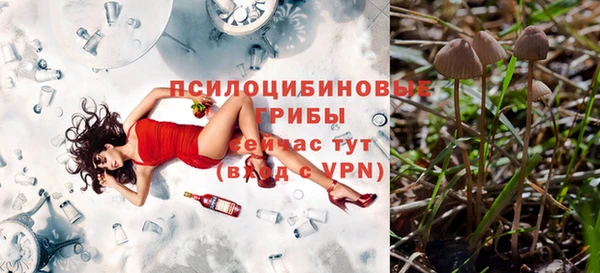 мдма Заводоуковск