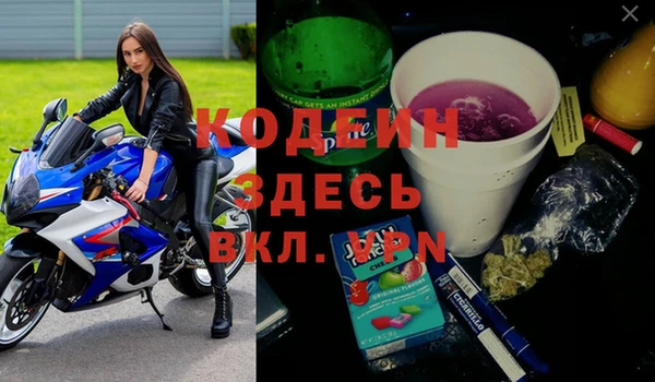 сатива Заволжье