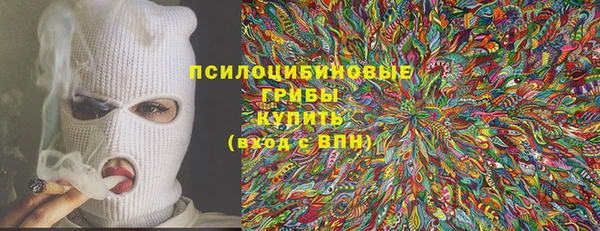 мдма Заводоуковск