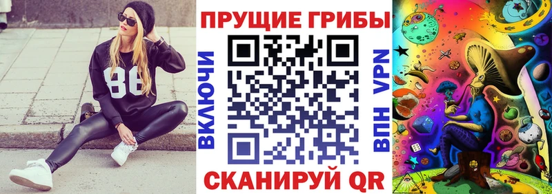 Купить  Снежинск  Галлюциногенные грибы MAGIC MUSHROOMS 